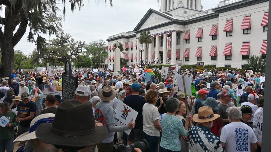 Hundreds of people gathered for the No Kings protest on March 28th, 2025.