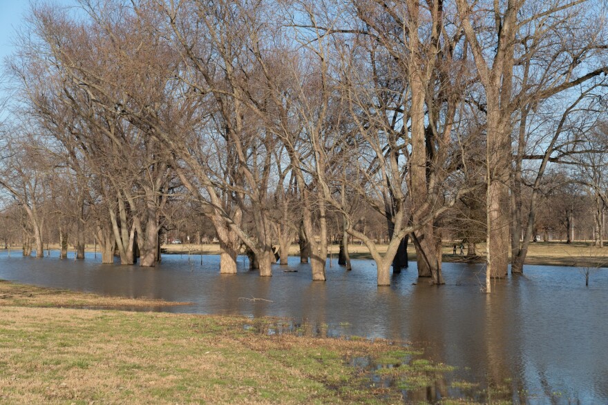 A flooded area of Carrie Gaulbert Cox Park off River Rd.