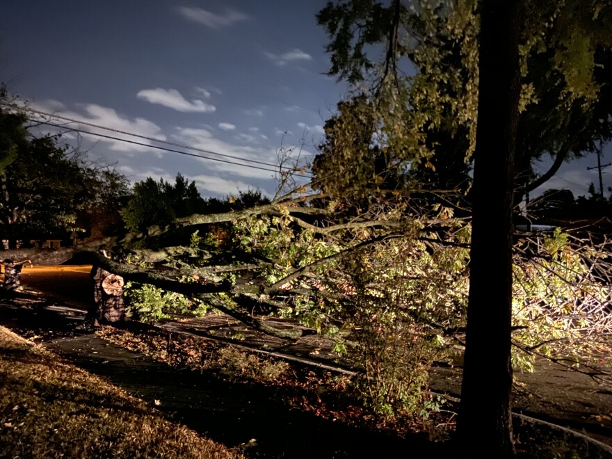 A large tree blocked Dalhart Drive in Richardson.