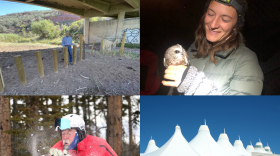 Four images, including a man under a bridge, a woman holds an owl, a man uses his breath to blow snow and the roof of denver international airport