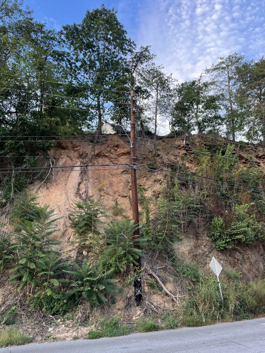 Residents of ViewPointe in east Asheville want city help stabilizing this cliff located on the subdivision’s common property next to Azalea Road. A representative of homeowners told Asheville City Council Tuesday that trees and rocks fall from the cliff onto the road.