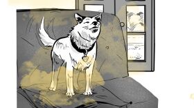 Lauren Gao for NPR