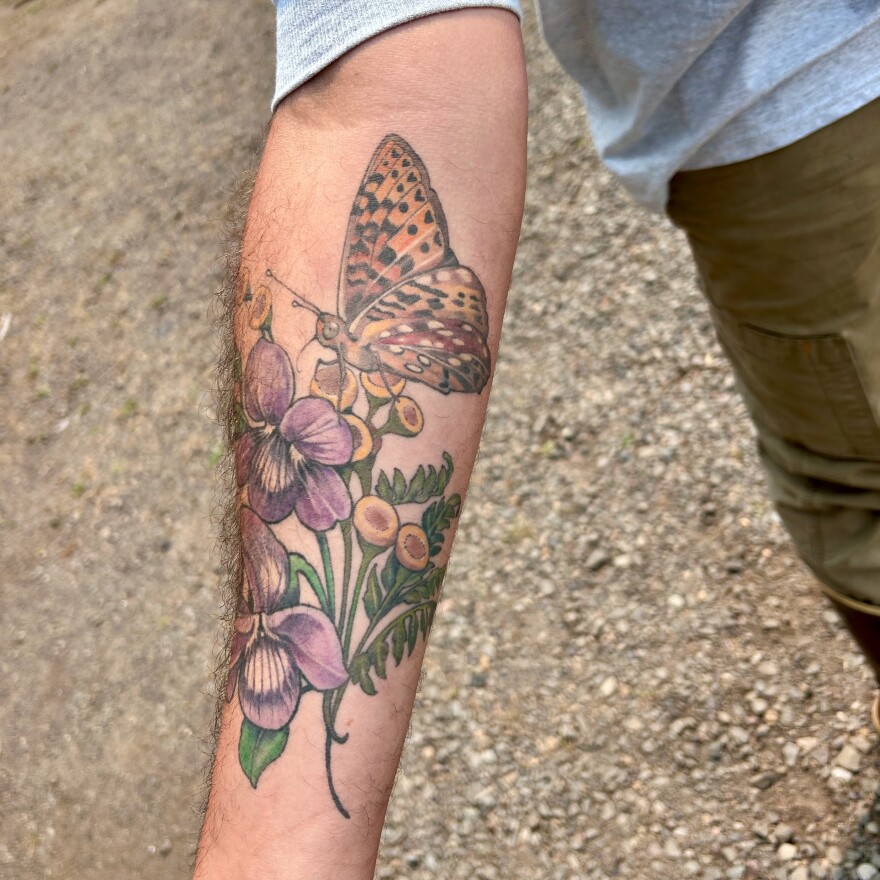 A person's forearm tattooed with a butterfly and its host plants