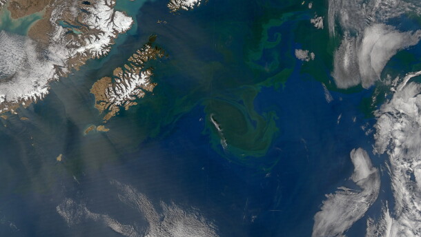 Part of the Gulf of Alaska as seen from above in 2014. 