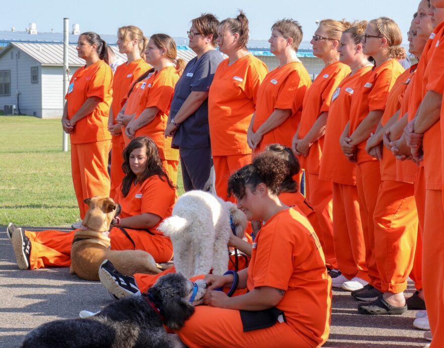 Prisoners-in-Mabel-Bassett-dog-program.jpg
