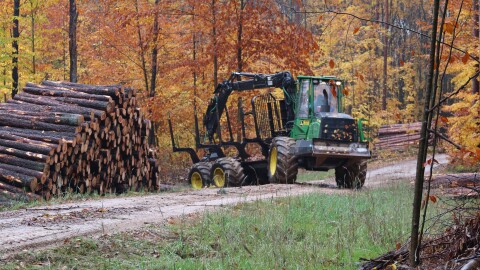 A tractor stacks jack-pine tree logs in the Huron-Manistee National Forest before they're transported to a sawmill on October 26, 2023.