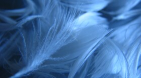 396673914_be9d1312b1_o