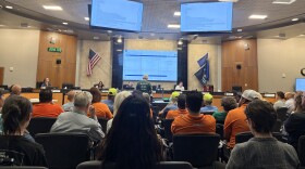 A man in a green shirt stands up to address the Reno City Council
