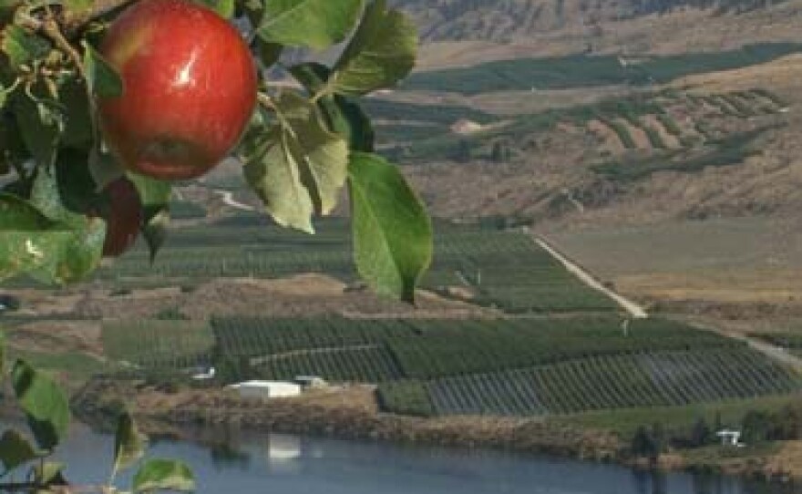 The latest estimate says Washington state is set to pick about 106 million boxes of fruit this year.