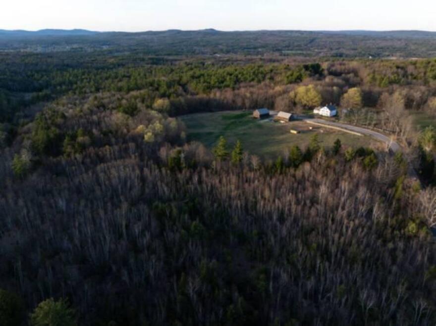 An aerial view of Bean Forest in Farmington. Forest Society / Courtesy