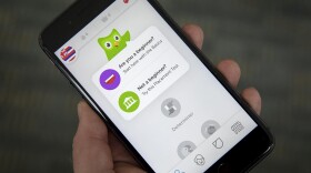 Today, there are fewer than 300 native speakers of olelo Hawai'i. But the popular language-learning app Duolingo has made it possible to learn it for free. (Robin Lubbock/WBUR)