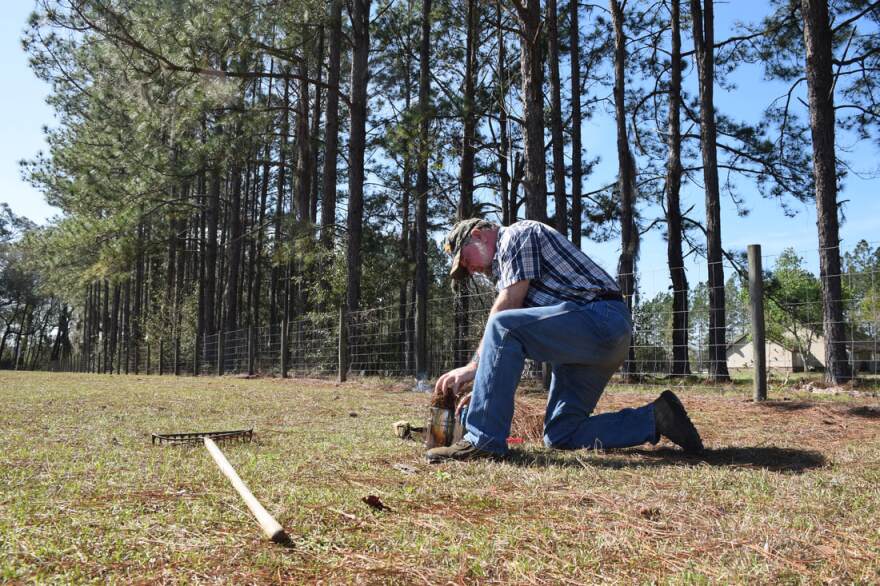 Beekeeper Chappie McChesney stuffs pine into his smoker, a common tool for hive maintenance. (Brooke Henderson/WUFT News)