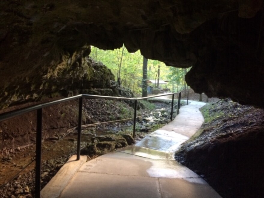 A view from inside Smallin Civil War Cave outside of Ozark, MO