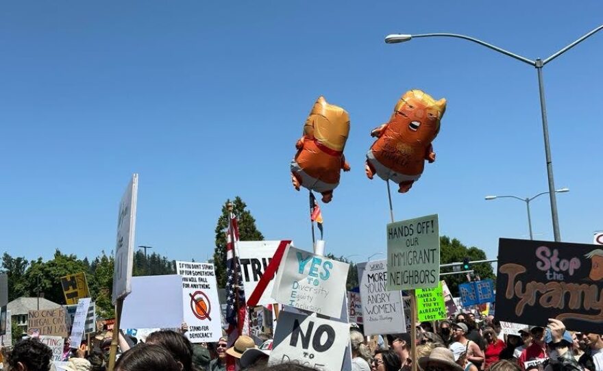 Crowds protesting in streets and around courthouse.