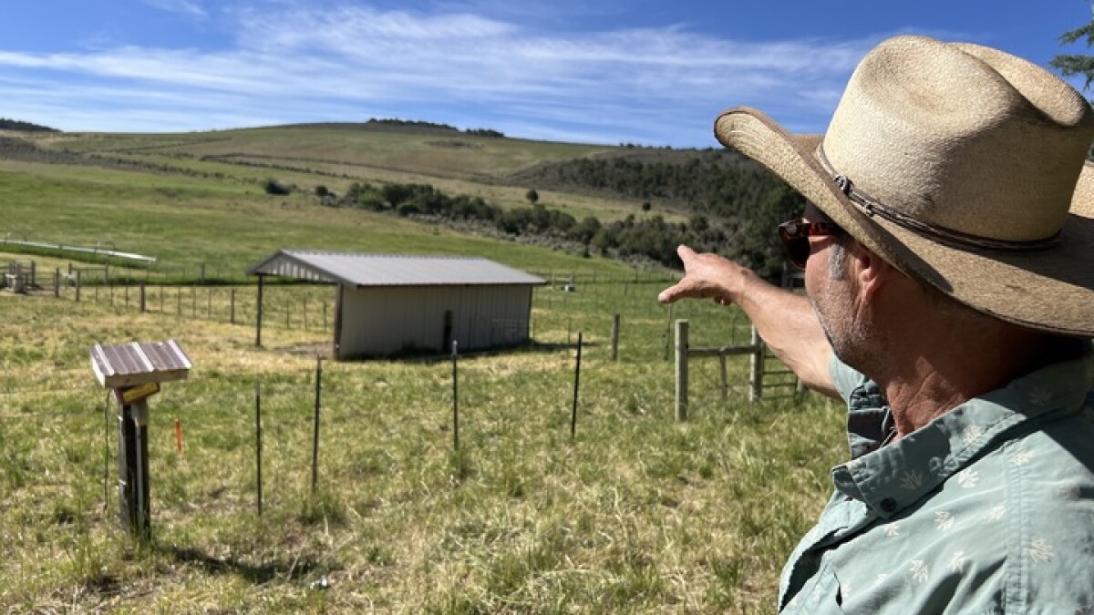 Regenerative agriculture helps Western Slope farmers cope with the warmest winter on record