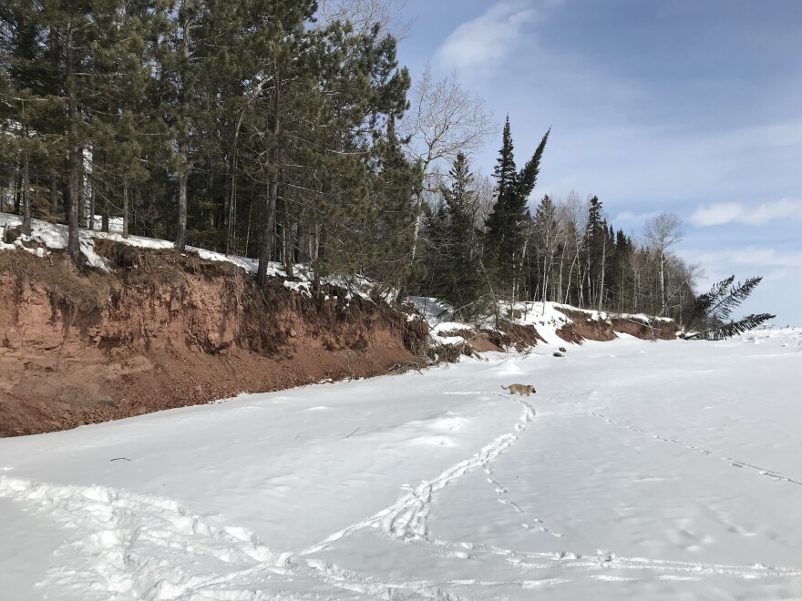 Erosion_LS_shore.jpg