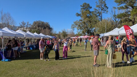 A small sample of the many product and service vendor booths at Pride Fest.