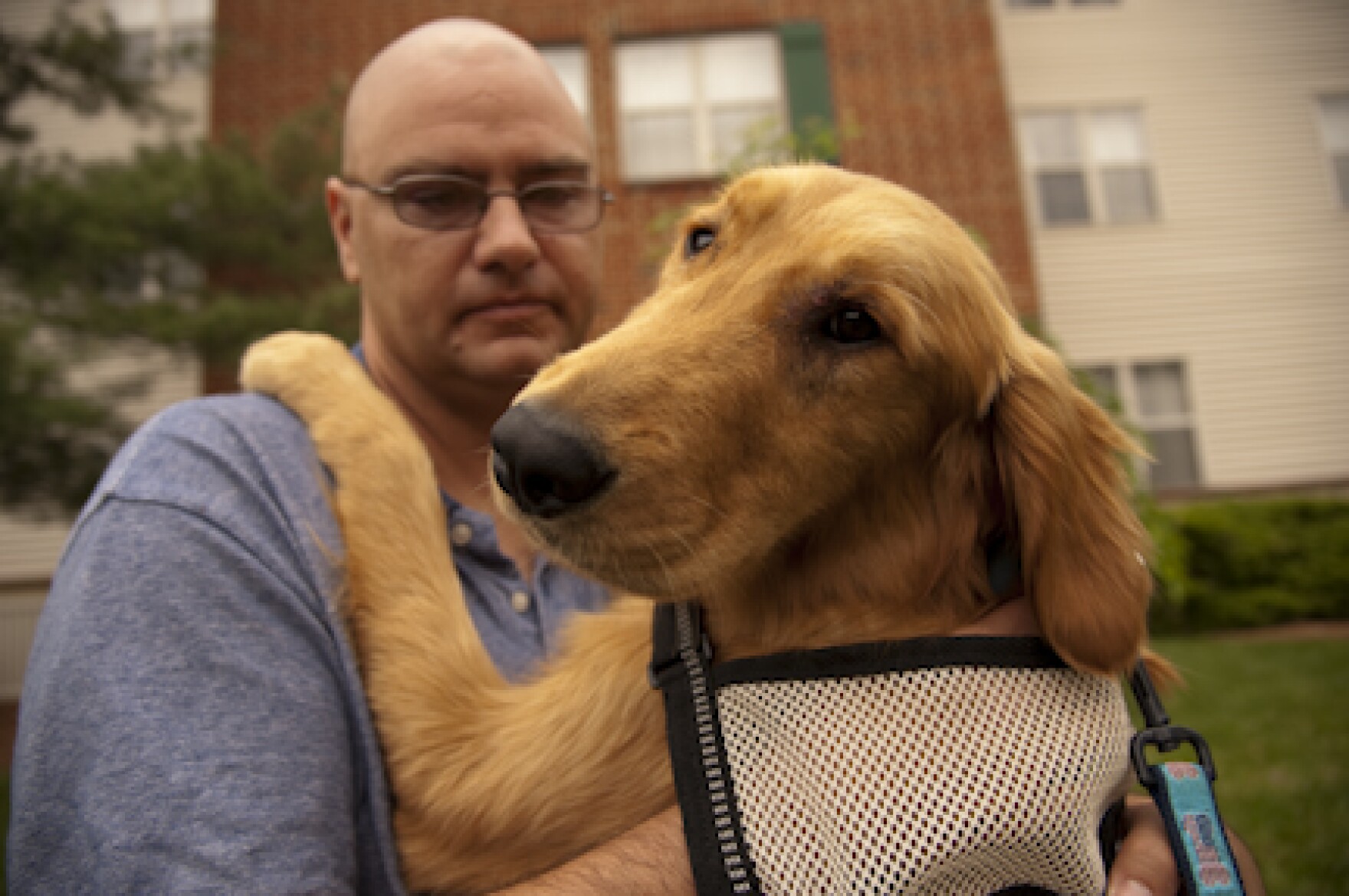 Canine Helpers Rescue Dogs Assist Returning Soldiers CAI