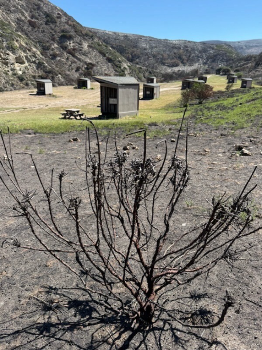 The hills around the Water Canyon Campground on Santa Rosa Island burned, but firefighters were able to save the campground. It's set to reopen October 14.