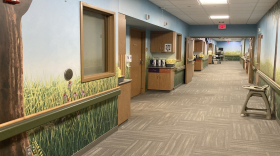 An empty hallway in the pediatric care unit at Bryan Health East Campus in Lincoln, with the walls painted with a prairie scene.