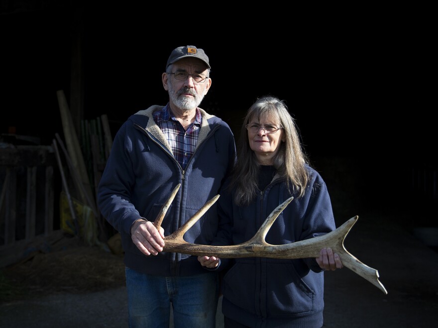 Randy and Aileen Good have farmed in Skagit Valley for four decades. They say elk have damaged their farm and farm equipment.