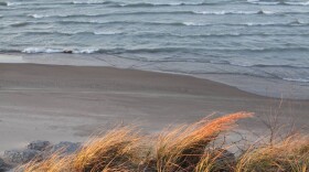 View of Skyline in Lake Michigan