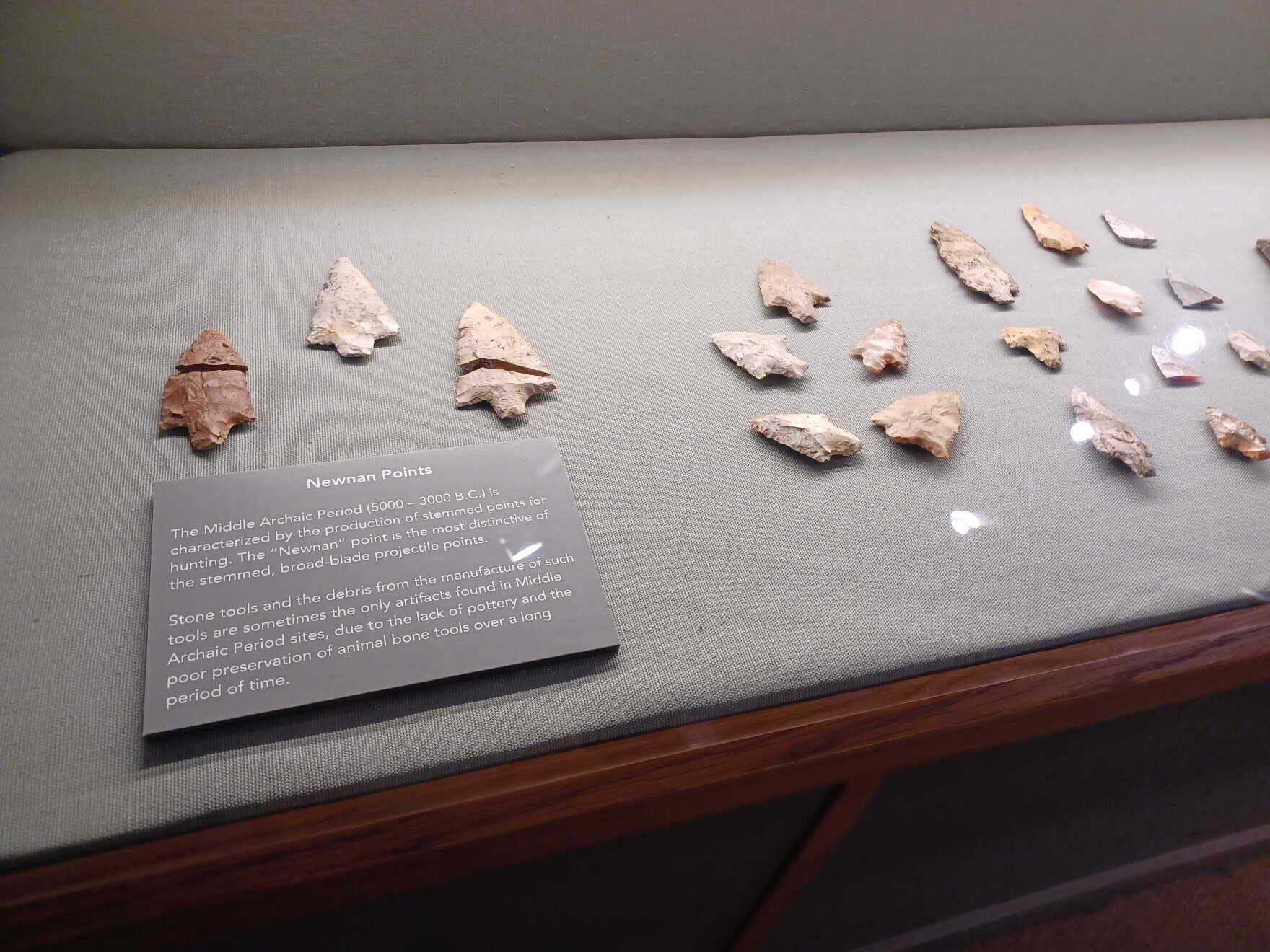 Native Graves Miami museum set to return over 100 remains from indigenous burial ...