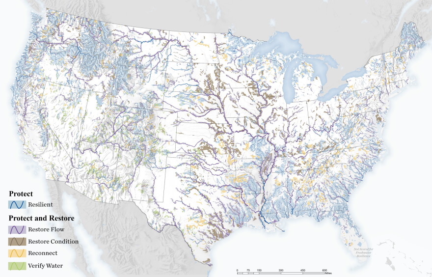 Map of the contiguous U.S. showing a network of rivers and streams ranked for freshwater resilience and restoration needs. Blue waterways are considered resilient, while purple, brown, yellow and green mark areas where researchers recommend restoring flows or habitat, reconnecting waterways or verifying water availability.