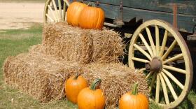 The Ohio Department of Health will allow trick-or-treating this year, but recommends face masks and social distancing.