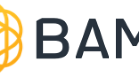 BAMF Logo