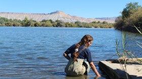 A woman wears waders as she stands in a lake near mountains.