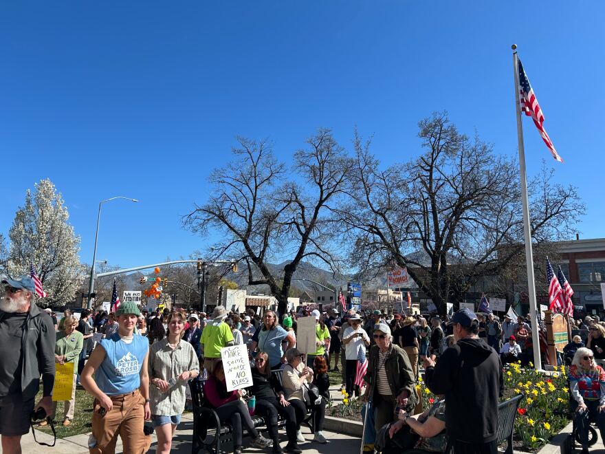 Hundreds of people stand holding signs and flags