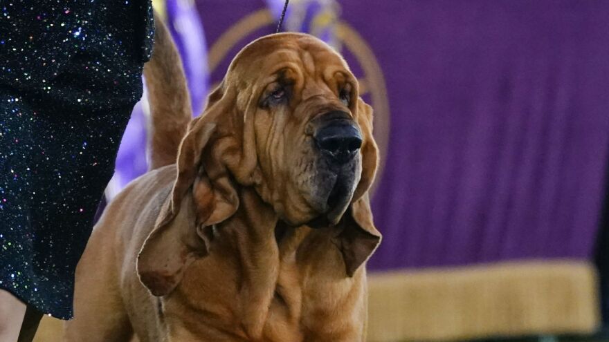 Frank Franklin II/AP