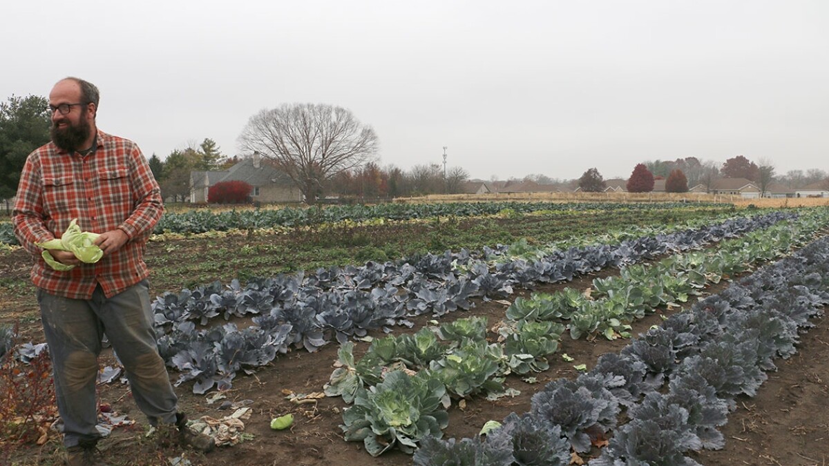 State grants allow small Illinois farmers to develop local food-sharing networks