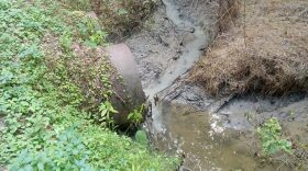 State Department of Transportation inspectors determined the pollution was not coming from the state's construction zone, but rather from a private rock road running parallel to the creek that partially washed out during heavy rainfall.