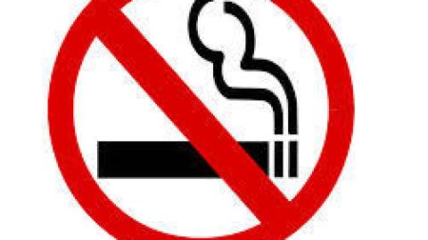 top sickness of tobacco is caused by the deficiency of Tobacco - Zinc (Zn) Deficiency