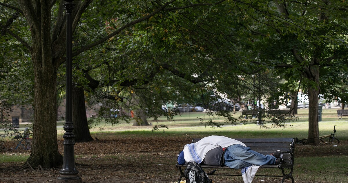 Advocates say New Haven didn’t do enough to support homeless during hot holiday weekend