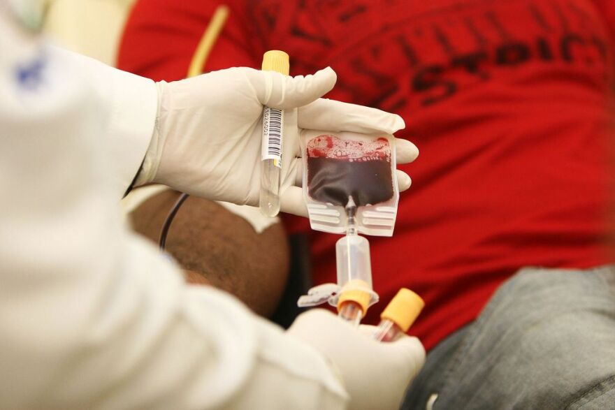 gloved hands holding blood packet and needle