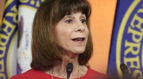 FILE - U.S. Rep. Kathy Manning, D-N.C., speaks during a news conference at the Capitol, July 19, 2022, in Washington. North Carolina Republicans pitched on Wednesday, Oct. 18, 2023, new maps for the state's congressional districts starting in 2024 that appear to threaten the reelection of at least three current Democratic U.S. House members. (AP Photo/Mariam Zuhaib, File)