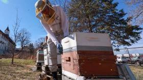 Beekeeper Mark Welsch checks on his bee hives in a community garden in Omaha, Nebraska, on March 9, 2026. Welsch lost nine of his hives last year during a widespread honeybee die-off.