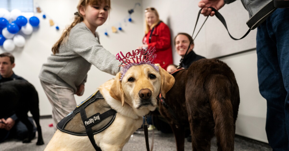 Interacting with therapy dogs may help high schoolers relax, Sacred Heart study finds
