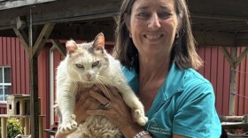 Kim Nock, Executive Director of the Humane Society of Wicomico County and Head of Animal Control