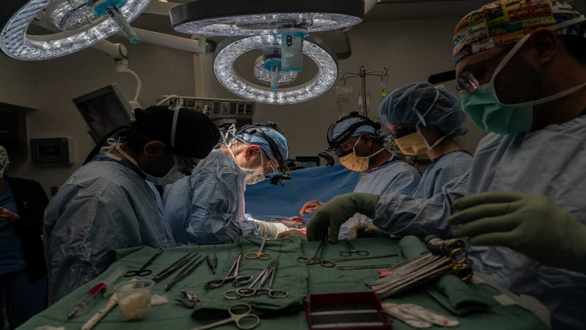 Life-saving transplants; unlearning silence in health care - Vimarsana News