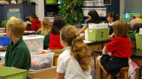 Decisions about handling positive cases and creating protocols for when schools need to revert back to online-only learning are left up to individual districts. (WFIU/WTIU News)