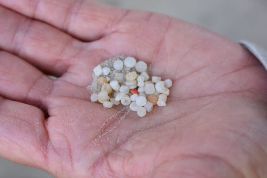 A volunteer holds the nurdles they collected at a beach cleanup in Galveston on Nov. 7, 2025.