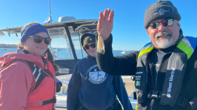 Team Zostera's Lucy Dutton, Alison Fogg and Glenn Page scuba dive off the coast of Cousin's Island in Yarmouth, Maine, planting the eelgrass seeds in their designated beds. The team planned out one bed for planting biodegradable tea bags full of seeds, one bed for free-hand seeding, and one control bed with nothing planted, to gauge how the local eelgrass fares on its own.