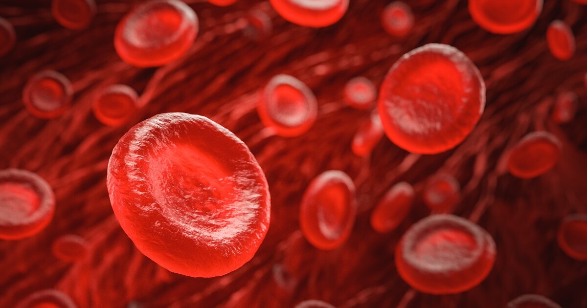 Why do we have blood and what does it do? Vermont Public Why do we have blood and what does it do? Vermont Public