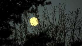 The hunter's moon will be at its brightest at midnight. Photo: Flickr Creative Commons