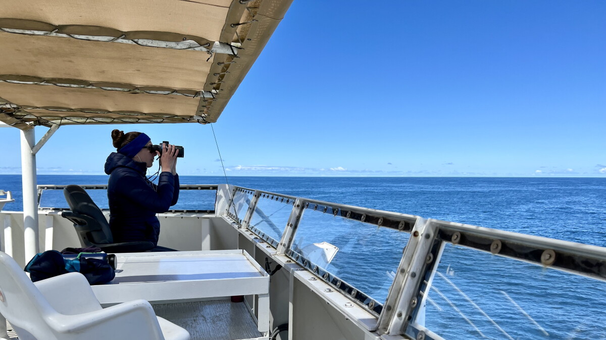 Watching for whales – and their food - Vimarsana News