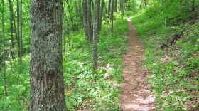 Roundtop Trail, Great Smoky Mountains National Park